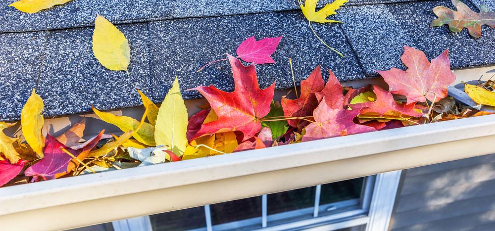 gutter cleaning near grand rapids, michigan